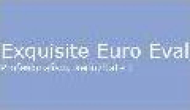 Consultanta in domeniul fiscal si contabil de la Exquisite Euro Eval Srl