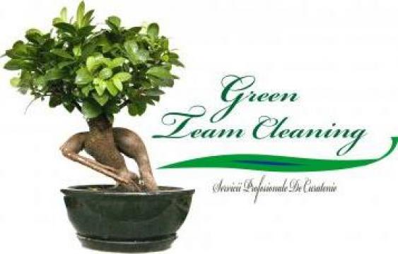 Servicii de curatenie generala, de intretinere Otopeni de la Green Team Cleaning Srl