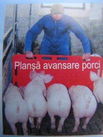 Plansa de orientare pentru porci de la Getic Sign Vn Srl