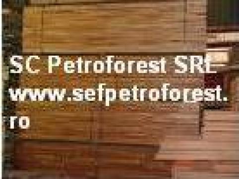 Cherestea rasinoase/ foioase de la Petroforest Srl