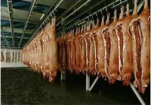 Carcasa de porc, cotlet porc fara os de la Tisza Kft