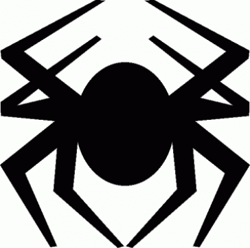 Servicii web complete de la Spider Solutions
