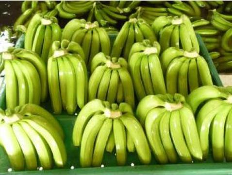 Banane proaspete de la Renabacam Sarl