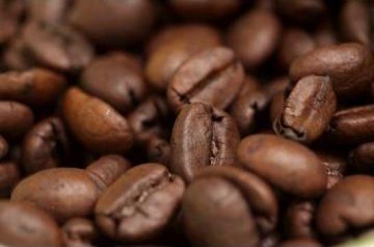 Cafea vending sau Horeca TeoCafe