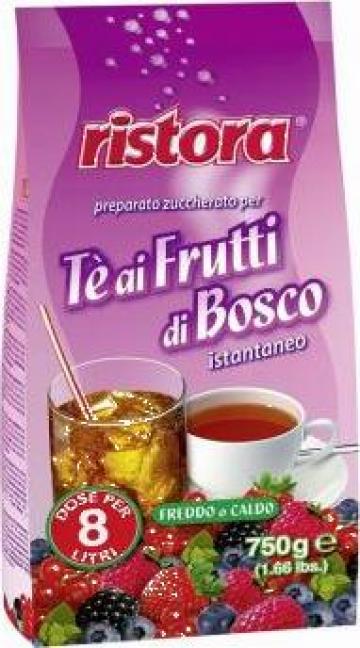 Ceai instant Ristora - fructe de padure de la Romeuro Service