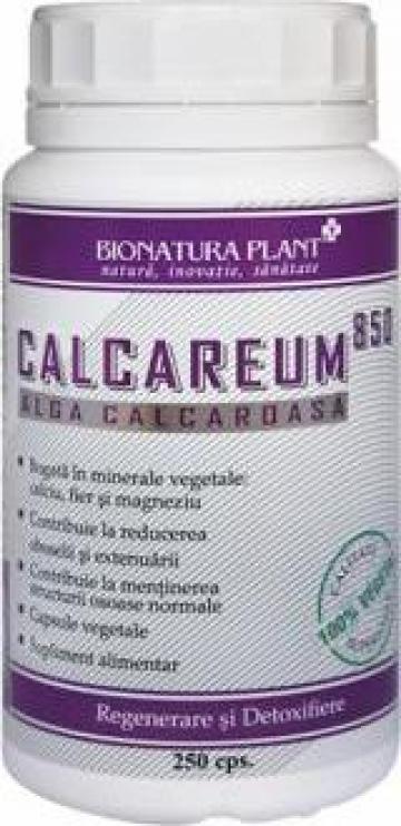 Supliment alimentar Alga calcaroasa - 250 capsule