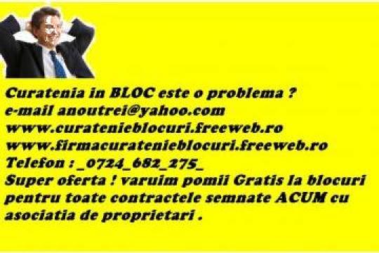Servicii curatenie blocuri, asociatii de proprietari de la Curatenie Subsol Lupulescu Robert