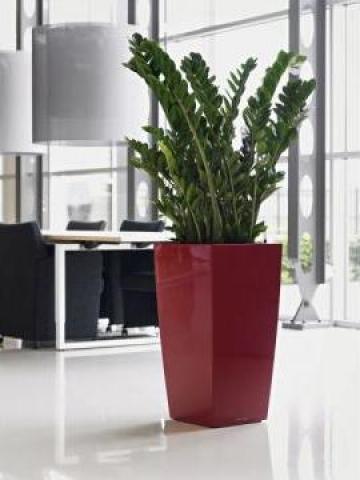 Plante interior in vase lechuza de la Sara' S Design International
