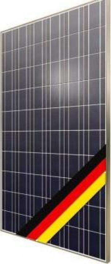 Panouri fotovoltaice Standard Poly Axipower de la Ecovolt