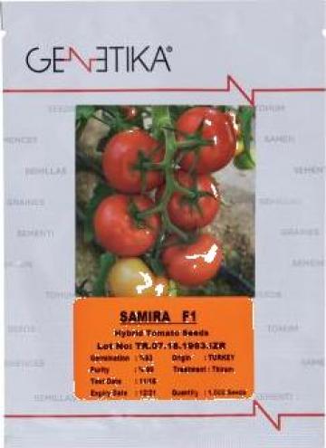 Seminte tomate Samira F1 (500 seminte) de la Www.magazin-agro.ro