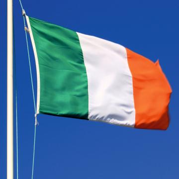 Steag Irlanda de la Color Tuning Srl