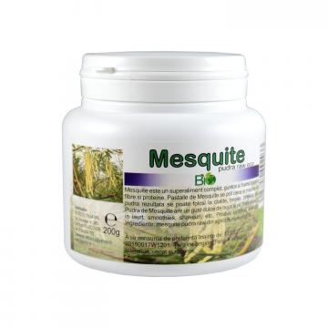 Pudra raw bio Mesquite 200g