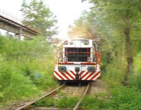 Locomotiva Moyse de la Petroutilaj - 3DRD Srl