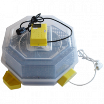 Clocitoare incubator Cleo 5DTH automat cu alimentare apa