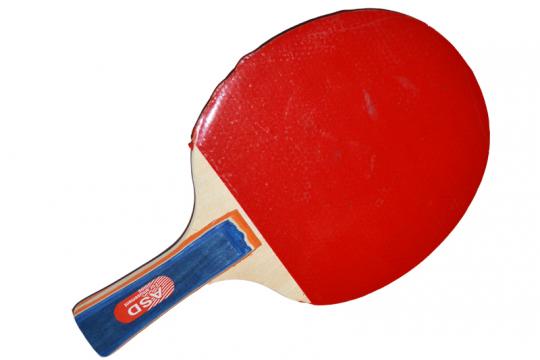 Paleta pentru ping-pong cu husa de la Preturi Rezonabile