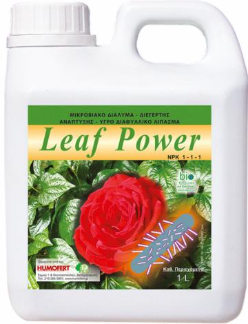 Stimulator de crestere Leaf Power de la Lencoplant Business Group SRL