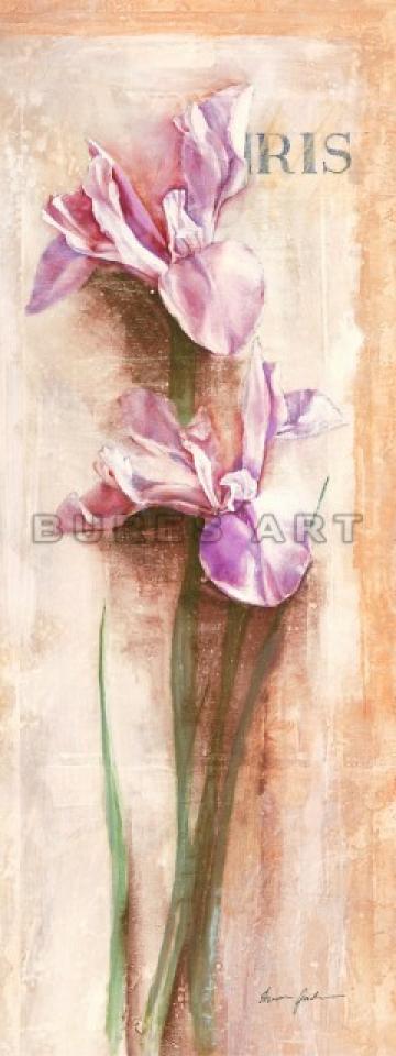Tablou decorativ Irisi inramat de la Arbex Art Decor