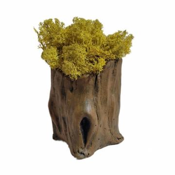 Aranjament licheni ghiveci decorativ galben M8