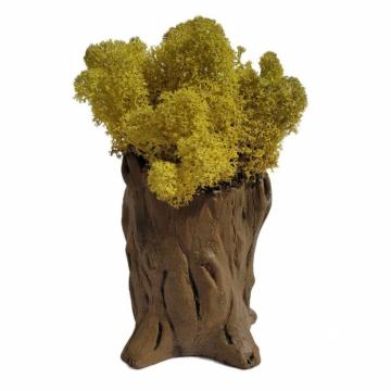 Aranjament licheni ghiveci decorativ galben M9 de la Decor Creativ