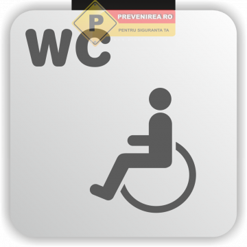 Indicator pentru persoana cu dizabilitati de la Prevenirea Pentru Siguranta Ta G.i. Srl