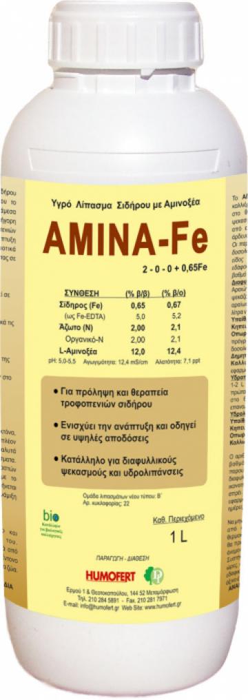Ingrasamant lichid de fier cu aminoacizi Amina FE de la Lencoplant Business Group SRL