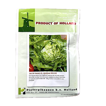 Seminte salata de capatana Hilde 10 gr, Holland de la Loredo Srl