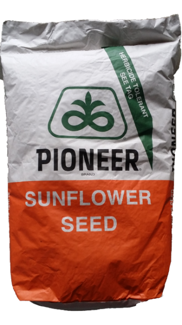 Seminte floarea soarelui Pioneer P64LE99 sac 150.000 boabe de la Acvilanis Grup Srl