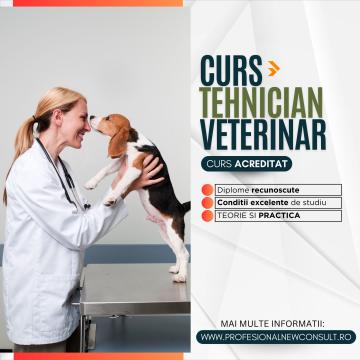 Curs tehnician veterinar de la Profesional New Consult
