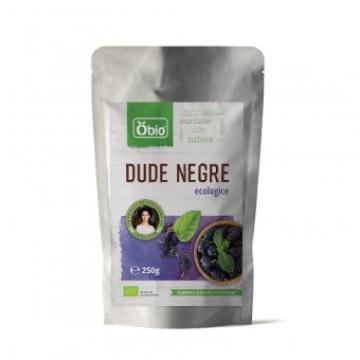 Dude negre deshidratate raw eco 250g Obio de la Supermarket Pentru Tine Srl