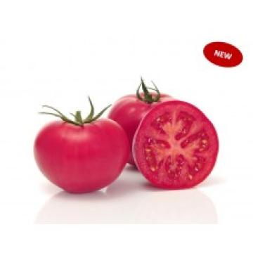 Seminte tomate roz, 500 seminte, Sakata Pink Wand F1 de la Dasola Online Srl