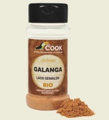 Pudra bio Galangal 25g Cook