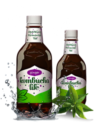 Bautura Kombucha Life cu ghimbir 500ml