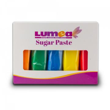 Set fondant Colour mix, 100g x 5 buc