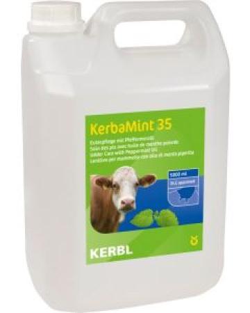 Gel pentru uger KerbaMint canistra 5000 ml, Kerbl