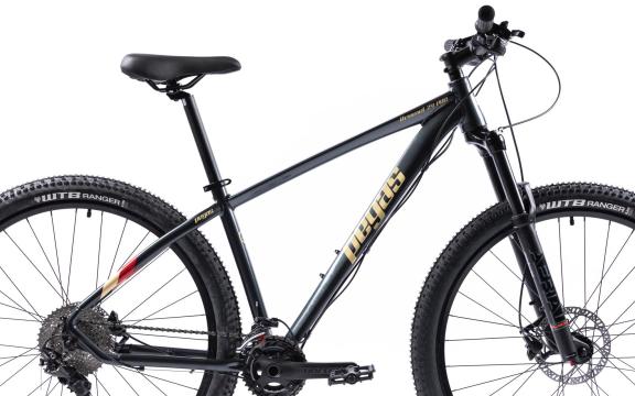 Bicicleta MTB Pegas Drumet Pro M 29'', gri carbon