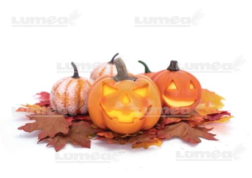 Vafa tort Halloween 17 - Lumea de la Lumea Basmelor International Srl