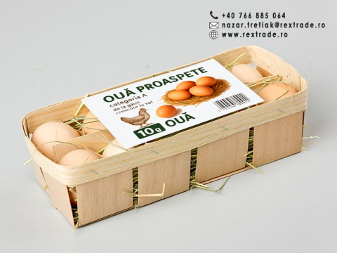 Cofraje eco pentru oua de gaina 15/ 10/ 6 buc