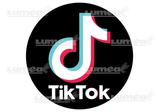Imagine comestibila tort din Zahar TikTok logo rotunda