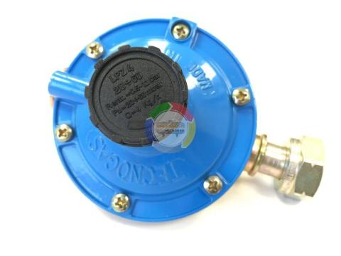 Regulator GPL 4 kg/h cu olandez CH25 joasa presiune Tecnogas