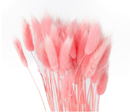 Decoratiuni Flori uscate Lagurus, roz 50g de la Distinctiv Store Srl