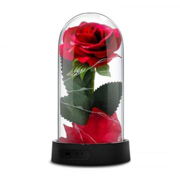 Decoratiune Trandafir rosu etern, iluminat cu LED-uri de la Molifag Srl