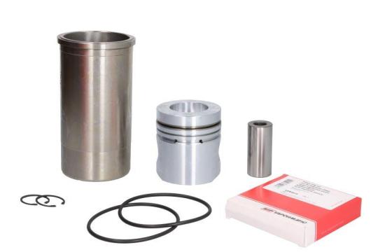 Ansamblu piston 3218915R95