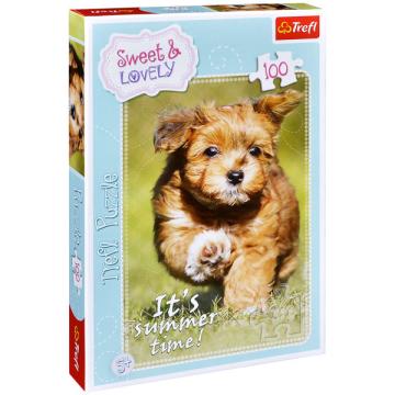 Puzzle Trefl It's Summer Time, 100 piese