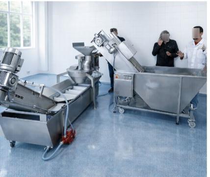 Linie automata deshidratare mere, productie chipsuri cartofi