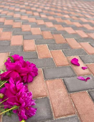 Pavaj Wise Parket 40 mm rosu de la Depozit Virtual