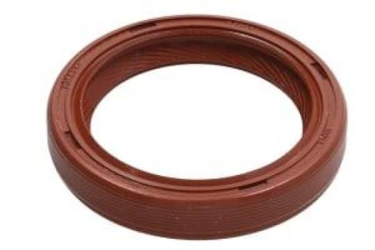 Simering 30x40x7mm 646260, 7703087189, 90536154
