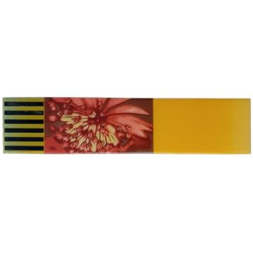 Bordura / brau decorativ 8.5x31.5cm, Cleopatra Floral de la URBANIX SRL