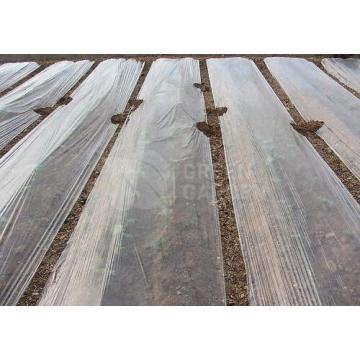 Folie mulcire transparenta 15 microni 1m x 2500m de la Green Garden Srl