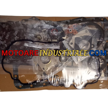 Set garnituri V3600