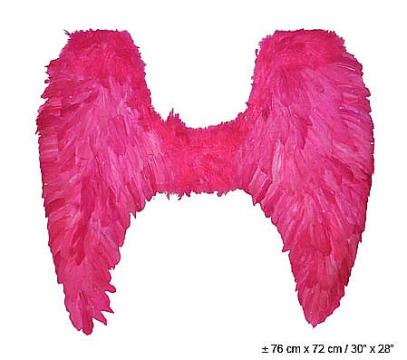 Accesoriu party Aripi din pene roz, 76cm - 53213 de la Hobbyplanet Romania